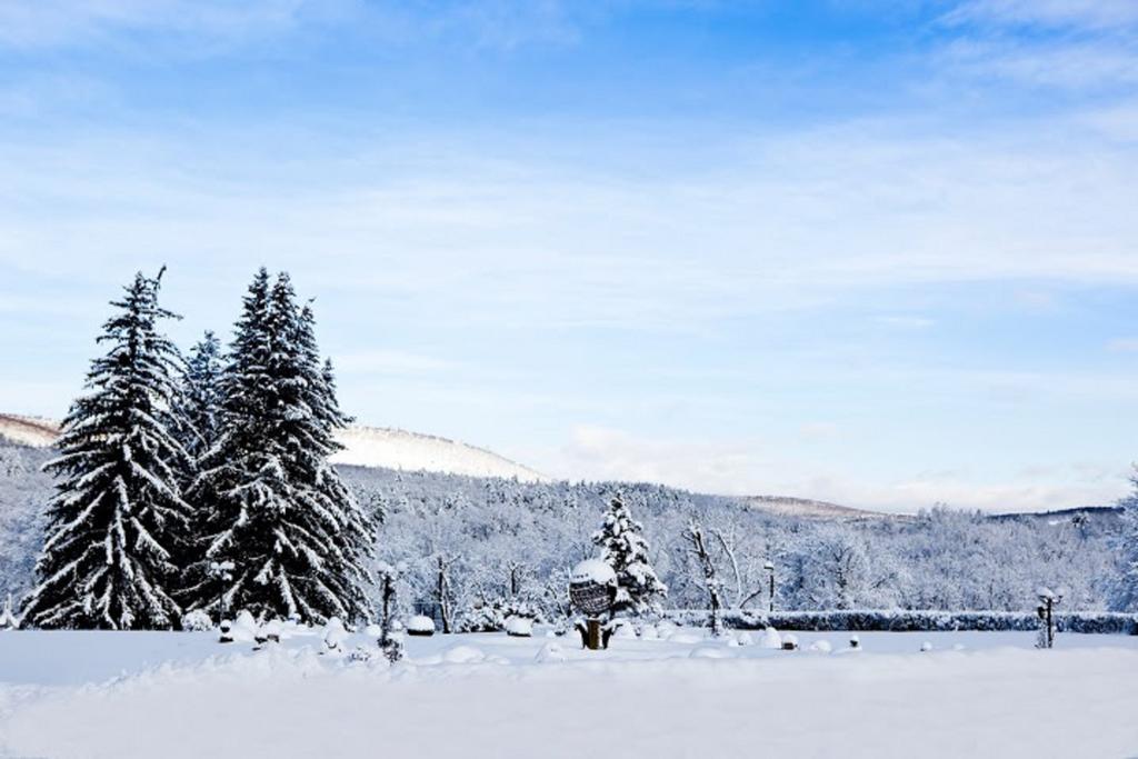 Honors Haven Retreat & Conference Hotel Ellenville Екстериор снимка